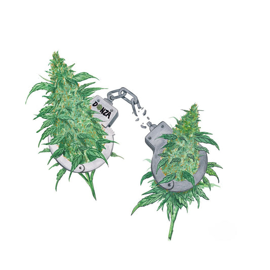 Best Buds | 329mm x 483mm Print