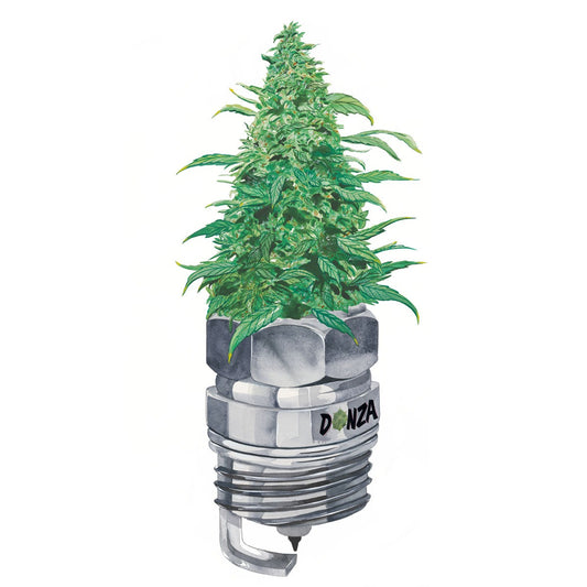 The Plug | 329mm x 483mm Print