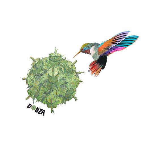 Donza’s Hummingbird | 329mm x 483mm Print