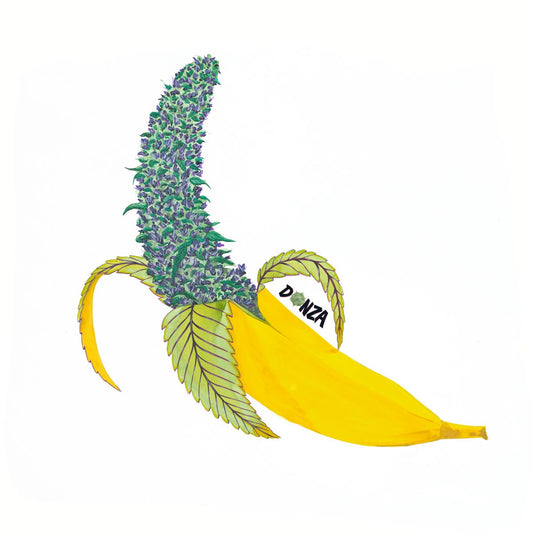 Banana Spliff | 329mm x 483mm Print